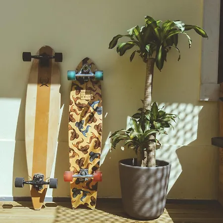 Hostel Cliff Surf House